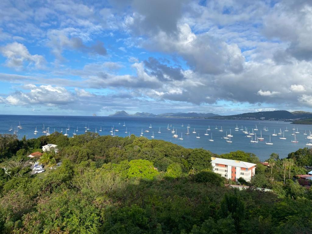 Superbe Appartement Vue Sur Mer Sainte-Anne Eksteriør bilde