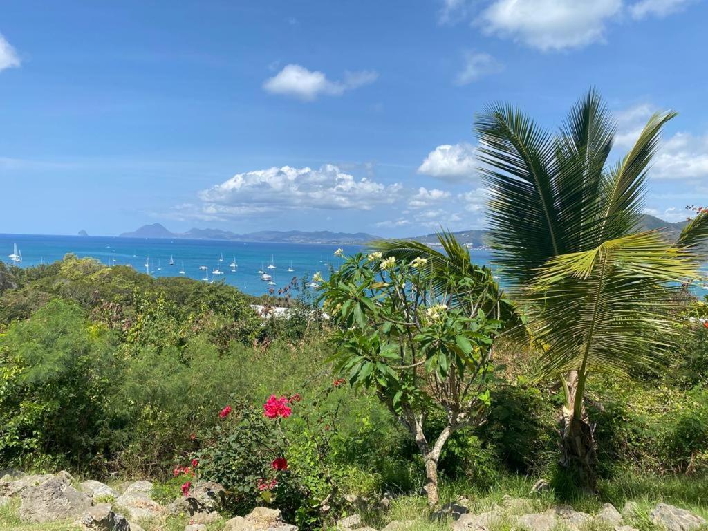 Superbe Appartement Vue Sur Mer Sainte-Anne Eksteriør bilde